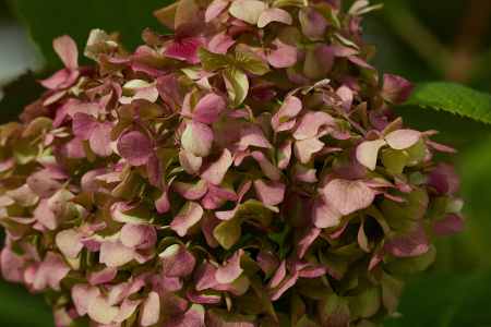 Image 55